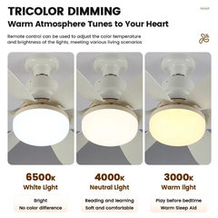 Ventilador de Teto e Lampadas de Led com controle remoto com 6 pás Tamanho Grande - Up Cem