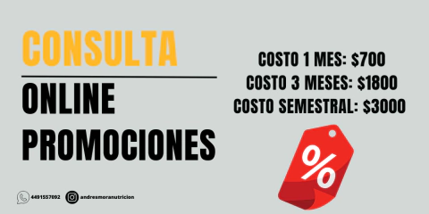 PROMOCIÓN ONLINE 6 meses