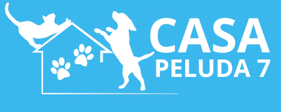 Casa Peluda 7 I Os Melhores Produtos para seu Pet