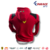 FERRARI - CHOMPA - comprar online