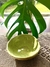 Bowl verde claro