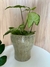 Imagem do Vaso verde