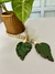Colar de mesa com folhas verdes - Mãos da Si Atelier