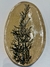Prato cor crua, com lavanda - Mãos da Si Atelier