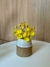 Vaso cru com branco - comprar online