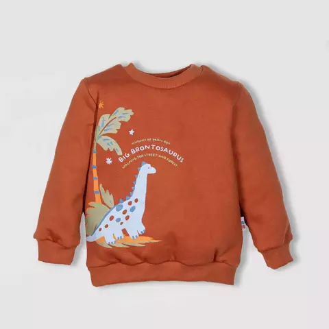 Buzo Naranja dinos - comprar online