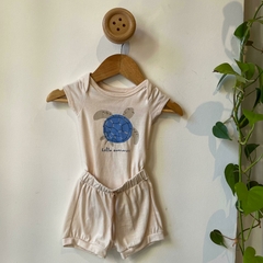 Conjunto Tortuga