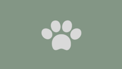 Banner de la categoría Mascotas