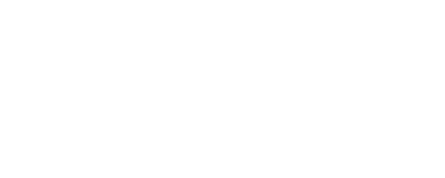Sil Pirani DG 