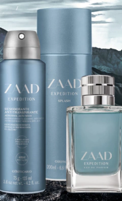 Desodorante Antitranspirante Aerosol Zaad Arctic 75g - Dalipe