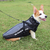Colete inverno - loja online