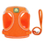 Peitoral com guia nylon - comprar online