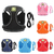 Peitoral com guia nylon - loja online