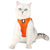 Peitoral com guia nylon - LeLeo Pet