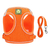Peitoral com guia nylon - comprar online