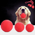 Bola para cães na internet