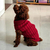 Suéter clássico para cães pequenos - comprar online