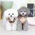 Casaco Chic - LeLeo Pet