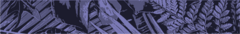 Banner de la categoría Bosque