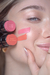Rubores En Barra Mate Ap | Cheek Stick Blushes - comprar online