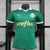 Camisa Palmeiras 2024