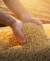 Carrusel Loroeste - Máquinas e Implementos Agrícolas