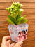 Mini cachepô para flor - comprar online