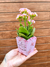 Mini cachepô para flor - NF PERSONALIZADOS
