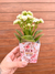 Mini cachepô para flor - loja online
