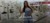 Imagem do banner rotativo Mybless | Loja de Calçados Femininos