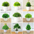 Plantas artificiais verdes, bonsai em vaso, pequena árvore, grama, flor, dia da