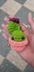 Mini Cactus en internet