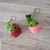 Mini Cactus - comprar online