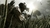 Call of Duty: Ghosts Digital Hardened Edition - Gojira Games