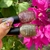 ESMALTE BISSU 5ml