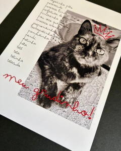 Foto Bordada Personalizada Pet - 15x21 na internet