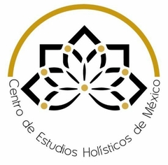 Banner de la categoría ESTUDIOS HOLISTICOS