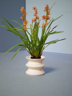 Orquídea Cymbidium - comprar online