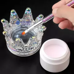 APOYA PINCEL CORONA en internet