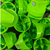 Cap Valvula Atuadora Bico de Spray Montana Cans Level 1 Ultra Skinny Kit com 5 unidades - comprar online