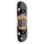 Skate Montado Black Sheep Pitbull Iniciante - comprar online