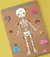 ENCASTRES CUERPO HUMANO