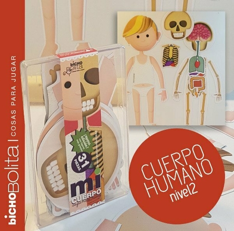 CUERPO HUMANO NIVEL 2 SISTEMAS