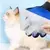 Luva Escova Nano Magnética Tira Pelos Dos Pets Cães E Gatos - fashionlookmix