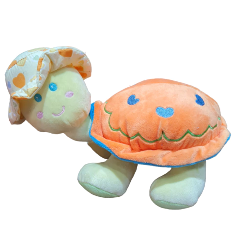 Tortuga con sombrero en internet