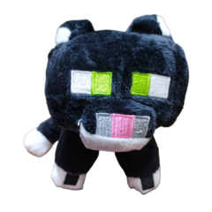 Gato negro
