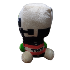 Creeper TNT en internet