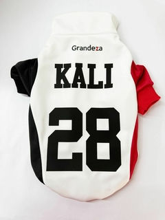 Campera Deportiva River en internet