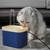 Fonte Bebedouro Automático de Água para Cães e Gatos 1,5L – PetFlow