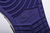 Air Jordan 1 Retro High OG "Court Purple"